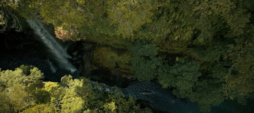 查理兹·塞隆新片《巅峰猎杀》：荒野求生题材的动作惊悚片