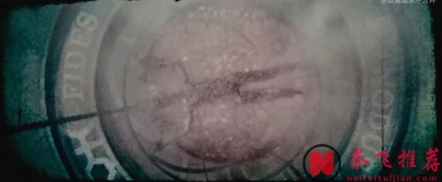 囚禁、肢解、吃人……網飛R級新片「噬血芭蕾/阿比蓋爾 / 血滴姬(港)」起飛了