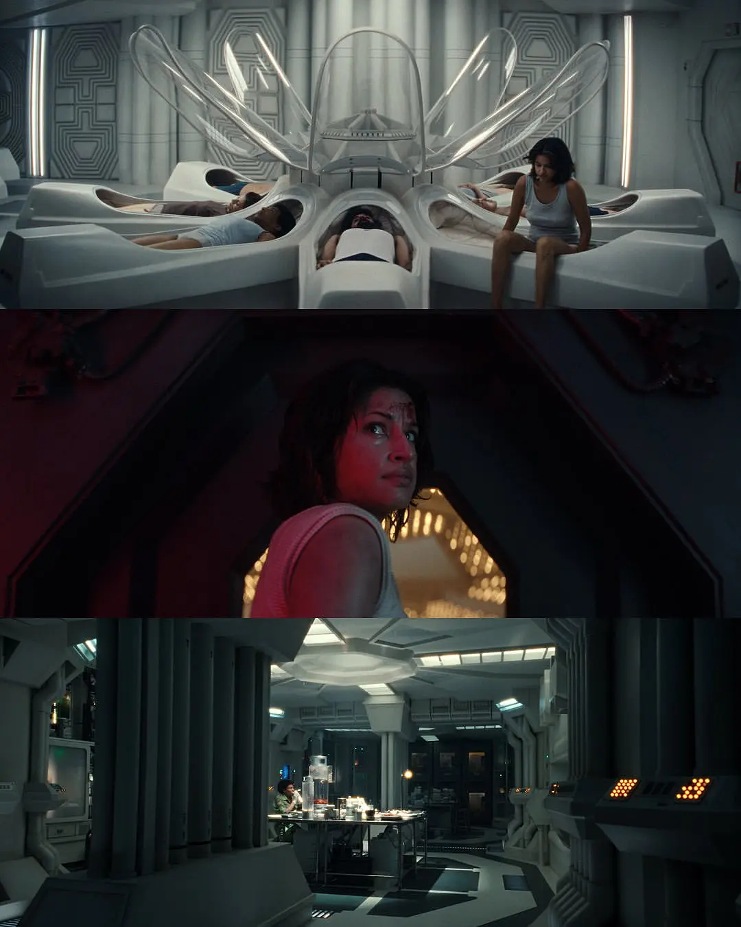 最新R級恐怖劇《異形地球 第一季》上線，劇版異形終於來了