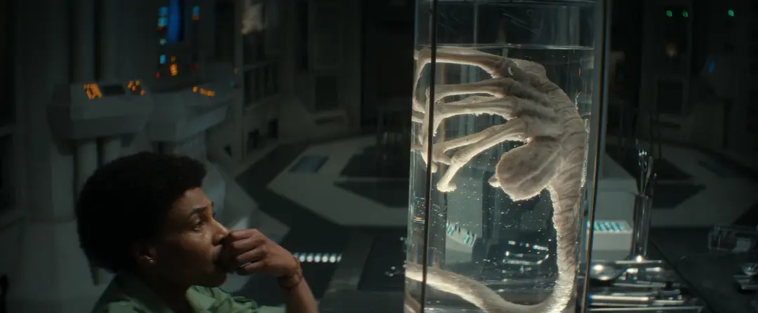 最新R級恐怖劇《異形地球 第一季》上線，劇版異形終於來了