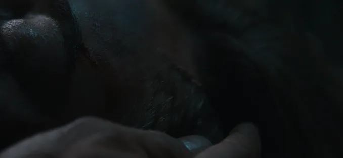 这部冷门悬疑剧《荒野迷案》第二季值得一看!