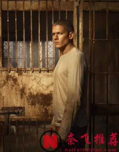 續作殺瘋，新劇炸裂，這10部必須鎖死！