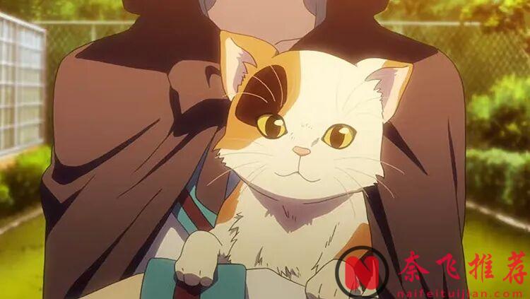 动漫里最经典的15只猫：喵星人终极榜单