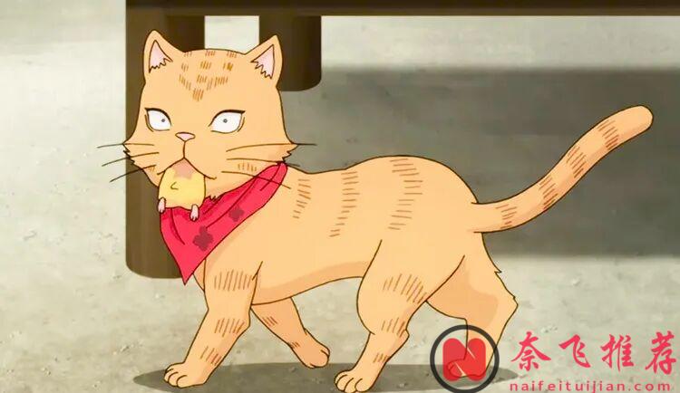 动漫里最经典的15只猫：喵星人终极榜单