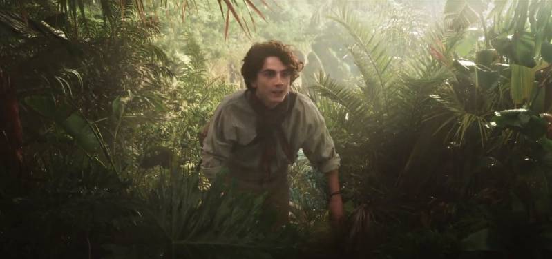 【影评】《旺卡》生动且温暖治愈的追梦之旅，巧克力冒险工厂前传