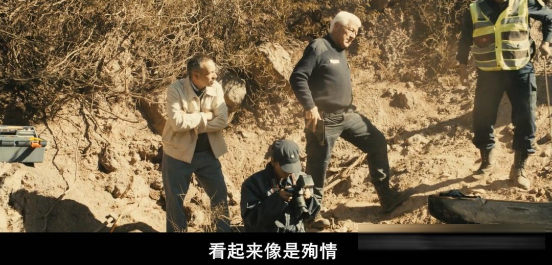 十部开场即高潮的经典电影：从《恐怖直播》到《突袭》