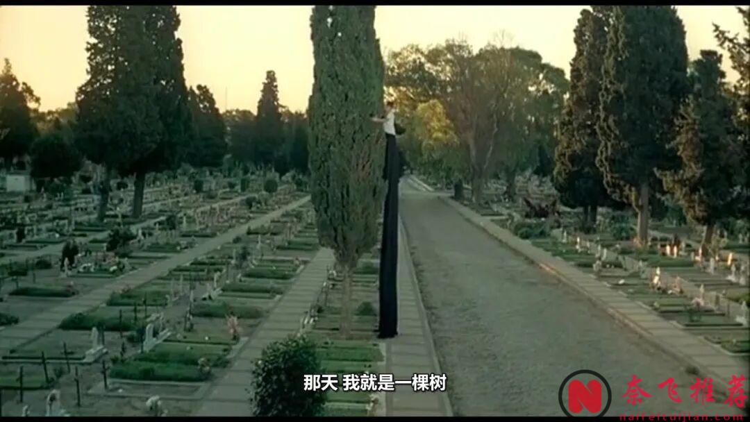 這部甜度與尺度齊飛的阿根廷冷門電影《不要向下看/精油與肌膚》，同樣不缺深度與溫度