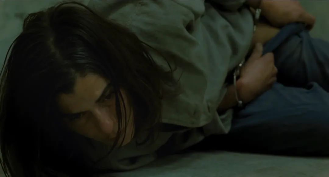 三觀炸裂！讓人破口大罵的高分神作《焦土之城/烈火焚身/母親的告白》！