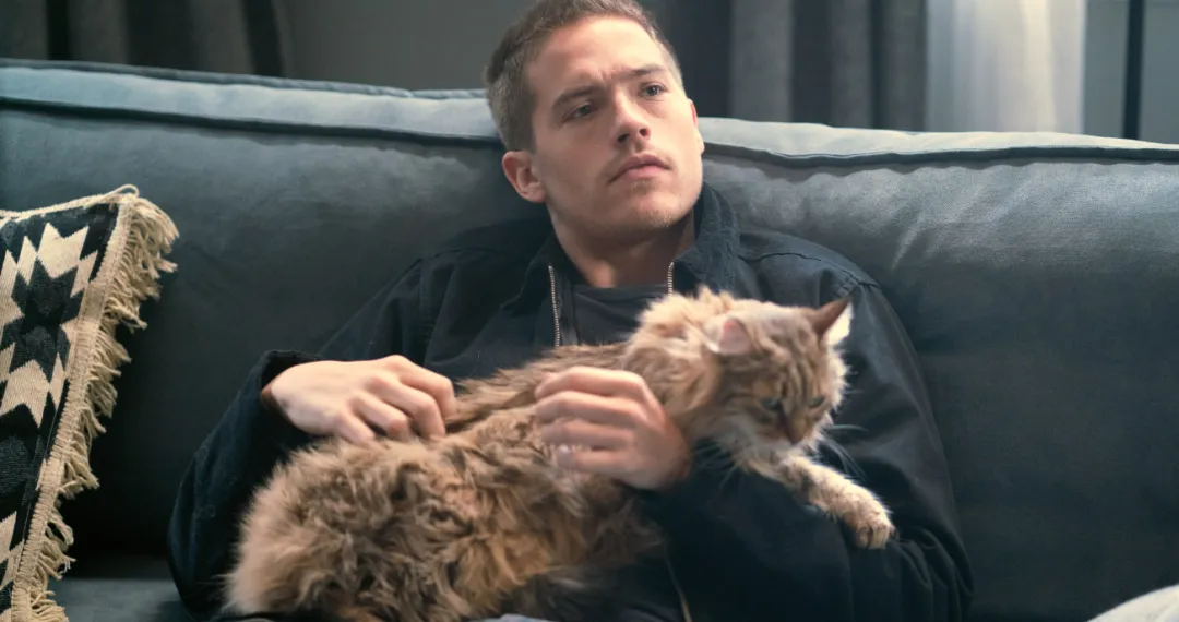 这爱情片《美丽的灾难》尺度、颜值身材太绝了！