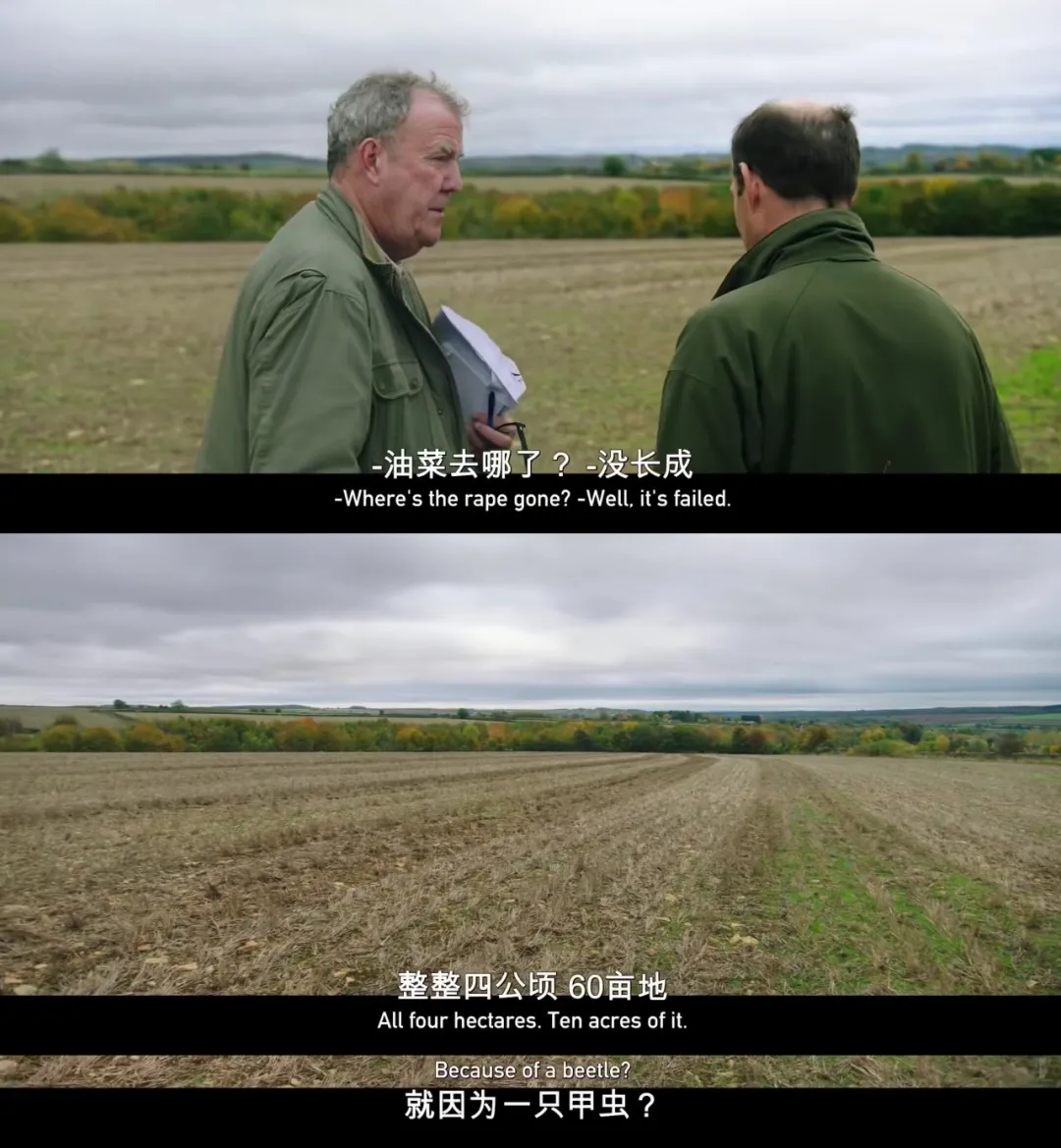 全网打出9.6分，本月最值得看的剧《克拉克森的农场》上线了