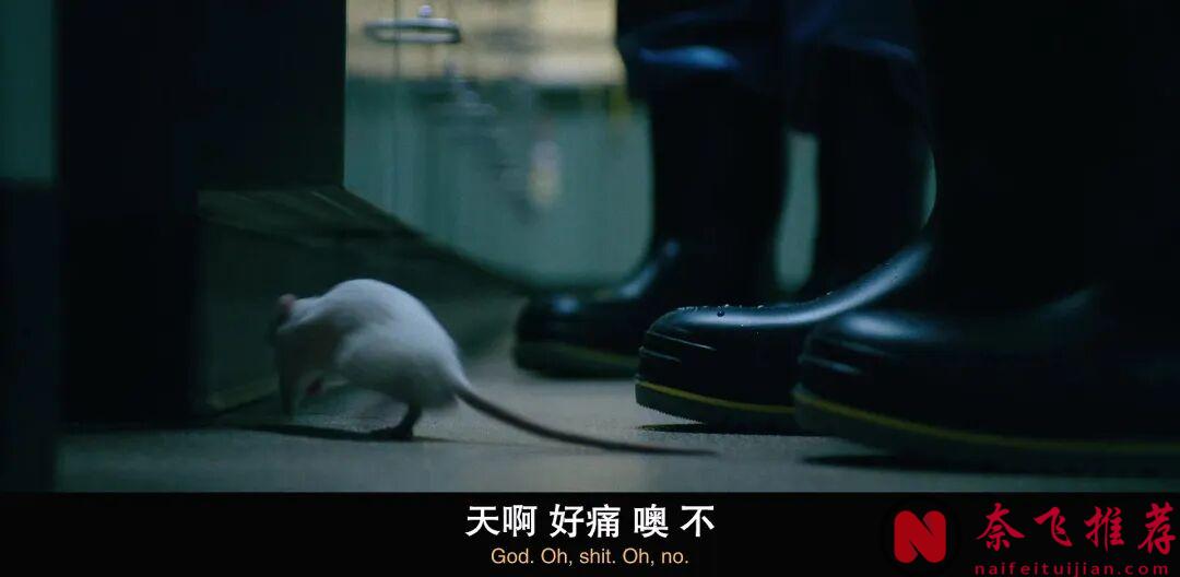 开播即爆！顶级大神科幻作品《同乐者/众生为一/万中选一》回归！