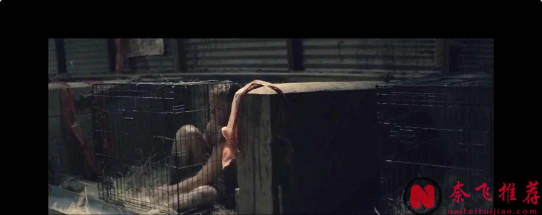 這部重口味電影《人肉農場》看得讓人絕望，女人用來產奶，男人直接端上餐桌，