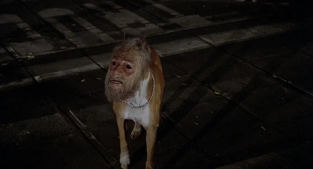 推荐5部年代久远的恐怖电影，恐惧感仿佛从天灵盖直下而来