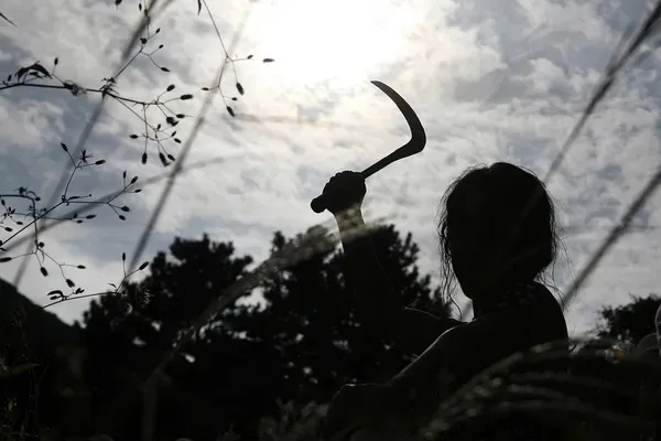 推荐5部大尺度韩国犯罪电影，简直太敢拍了，千万不要错过！