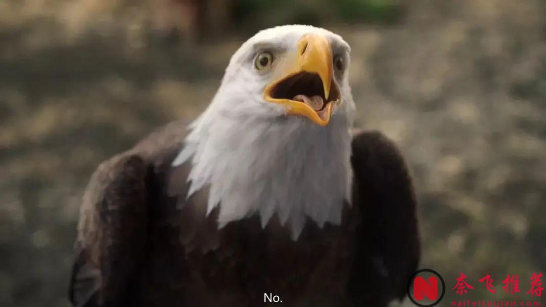 你見過把美國國旗紋在蛋蛋上的超級英雄嗎？限制級神劇《和平使者 第二季》，終於等到了！