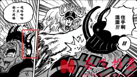 乔巴之所以能破解黑转支配，是因为他的人人果实的原型是森林之神形态！？