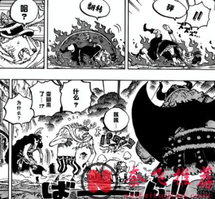 乔巴之所以能破解黑转支配，是因为他的人人果实的原型是森林之神形态！？