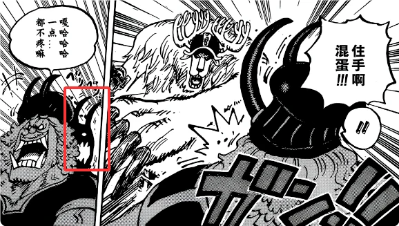 乔巴之所以能破解黑转支配，是因为他的人人果实的原型是森林之神形态！？