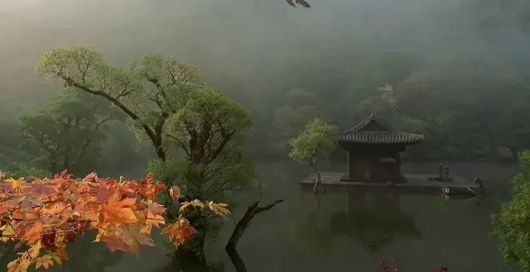 罕見！靈與肉、罪與贖的暗喻經典之作《春夏秋冬又一春/春夏秋冬 / 春去春又來》！