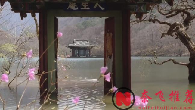 罕見！靈與肉、罪與贖的暗喻經典之作《春夏秋冬又一春/春夏秋冬 / 春去春又來》！