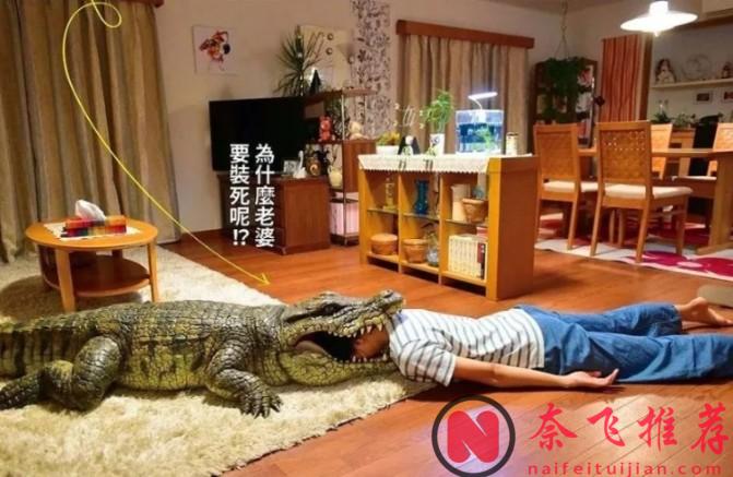 有这样的戏精老婆太幸福了，《每天回家都会看到老婆在装死/我老婆日日都扮死/每天回家老婆都在装死》超温馨！