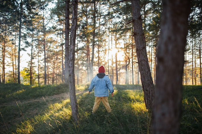2022年最新十大儿童电影推荐排行榜，宝贝老板、龙猫强推！