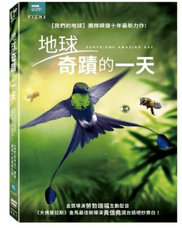 2022年最新十大儿童电影推荐排行榜，宝贝老板、龙猫强推！