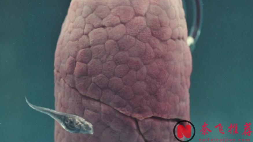 异形蜕变之谜，生命周期8大形态全揭秘