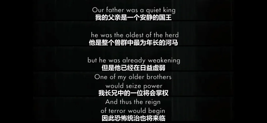 柏林影展最佳剧情片《佩佩/河马皮皮/河马佩佩的魔幻漂流》，冷门爆款，年度必看！