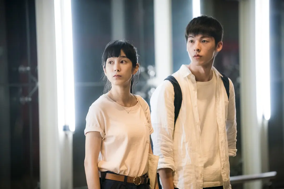 5部穿透螢幕的靈魂佳片，在光影中尋找生命的答案