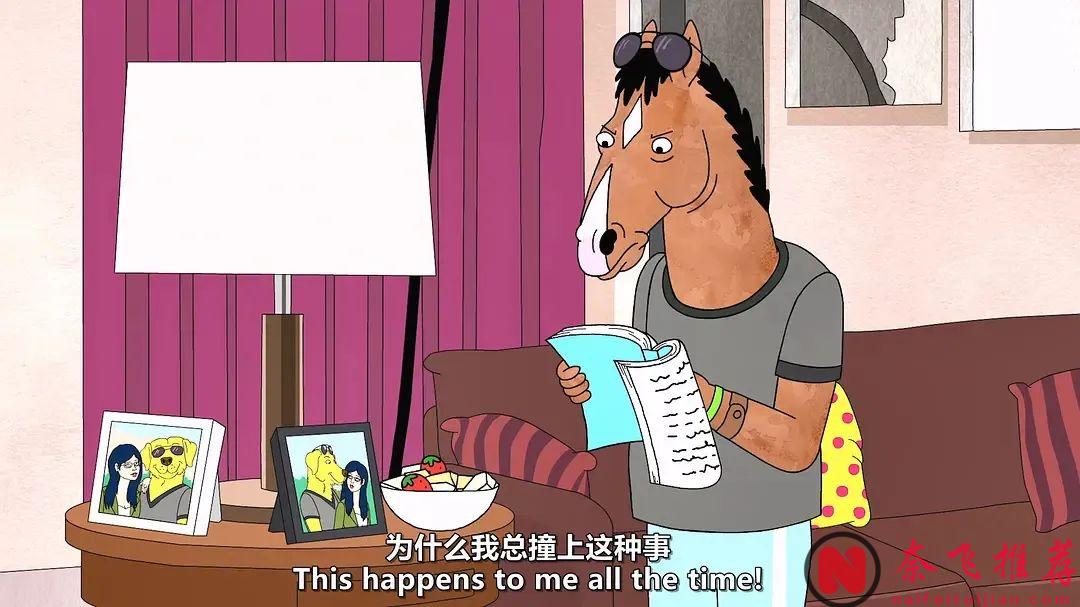 這部奈飛高分動畫劇《馬男波傑克》是最好看的美番之一，一個看似荒誕的世界裏，動物和人類和平共處，卻把一匹馬遺忘了~