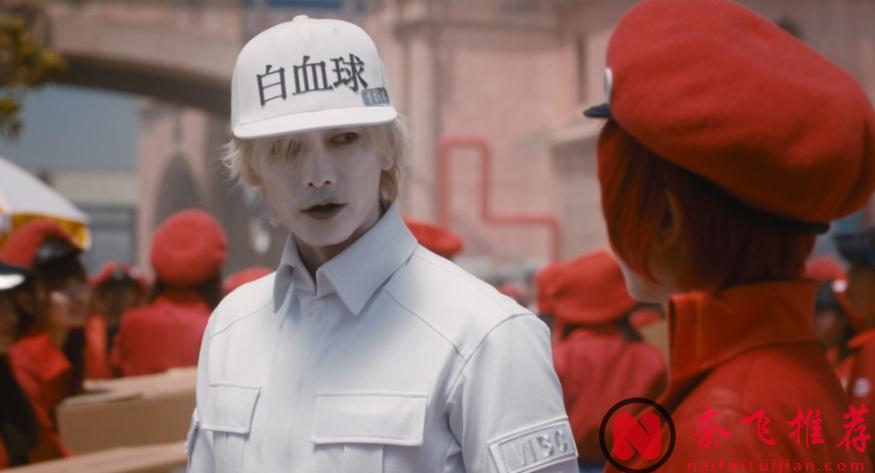 太瘋了！島國這破次元神作《工作細胞》真人版終於等到！