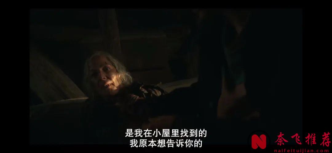 网飞R级惊悚动作电影《孤岛寻踪/卢》，硬核厮杀，大饱眼福！