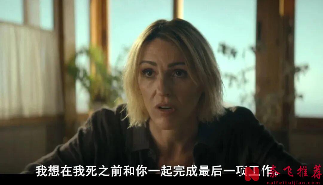 近期最佳犯罪片《双雌大盗/最后一票/最后一骗/骗局》，一口气刷完六集！