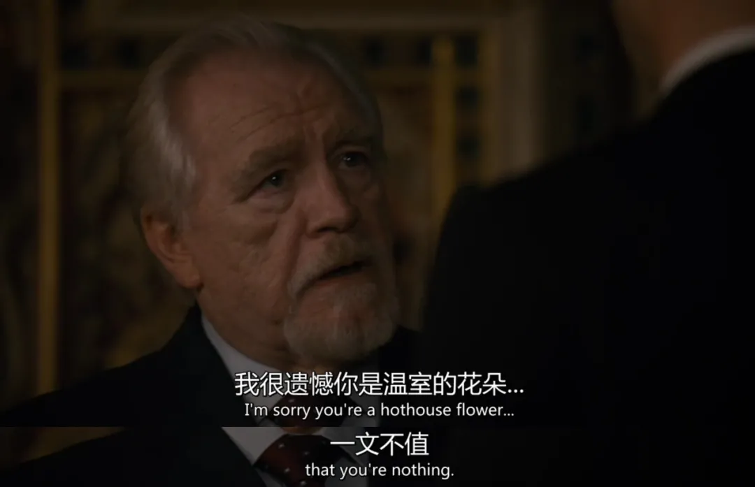 HBO重磅大作《繼承之戰》，一起看豪門有錢人撕X的故事！