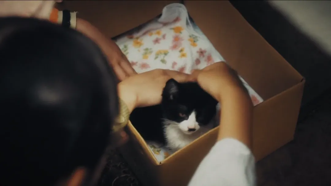 日劇《住宅區的兩人》全球劇集榜TOP1，講述了兩個單身女性互助養老故事的