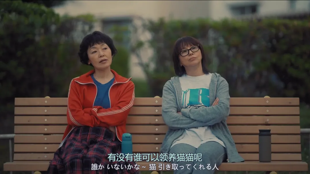日劇《住宅區的兩人》全球劇集榜TOP1，講述了兩個單身女性互助養老故事的