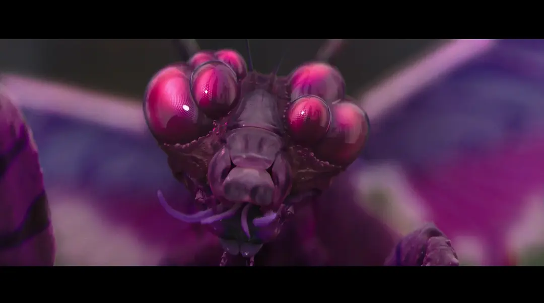 推薦一部B級恐怖片《星之彩/時空之外的顏色/異星之彩/流星溢彩》，令人不適的詭異