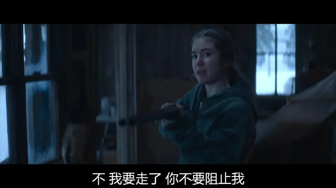 Netflix 复仇爽片《母亲本色/慈母杀心》，千万别惹这个女人