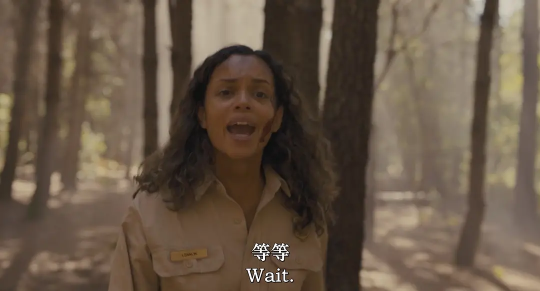 葡萄牙恐怖悬疑片《深郁黑暗》：森林深处恶魔作怪，一旦进入便会鬼打墙