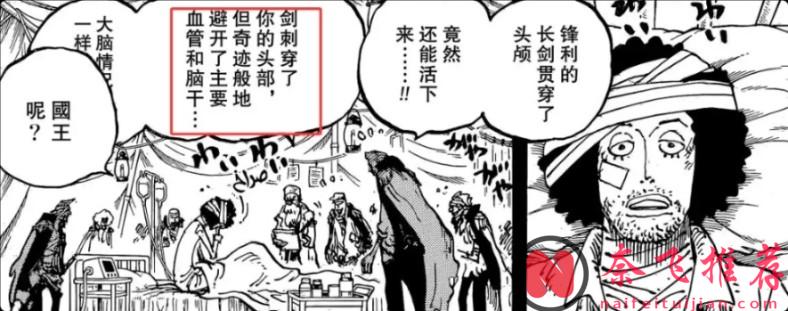 情報師毀人不倦！海賊王1186話中根本沒提過舒莉是格羅的女兒