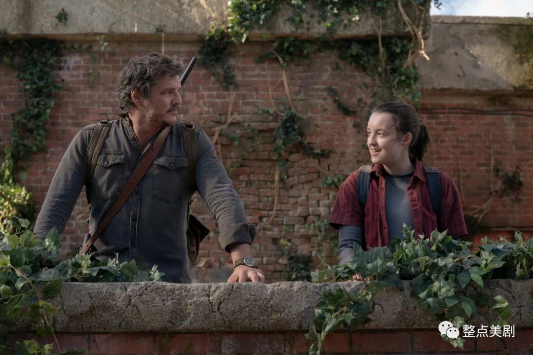 2023年度IMDb评选的最好看的10部美剧，HBO赢麻了！