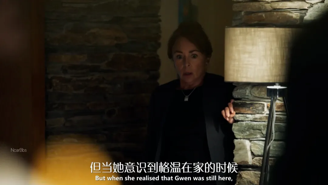 一集一案冷门破案剧《天堂岛之外》，难以破解的离奇诡案，凶手像没到过现场一样