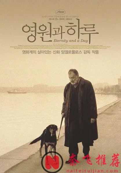 豆瓣4万人评9.1分，冷门佳作《永恒和一日/一生何求/永远的一天》，强烈推荐！