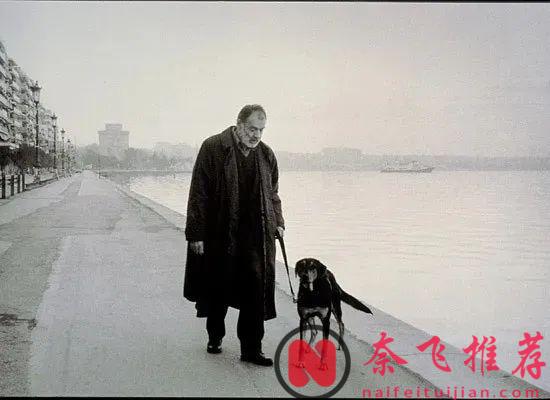 豆瓣4万人评9.1分，冷门佳作《永恒和一日/一生何求/永远的一天》，强烈推荐！