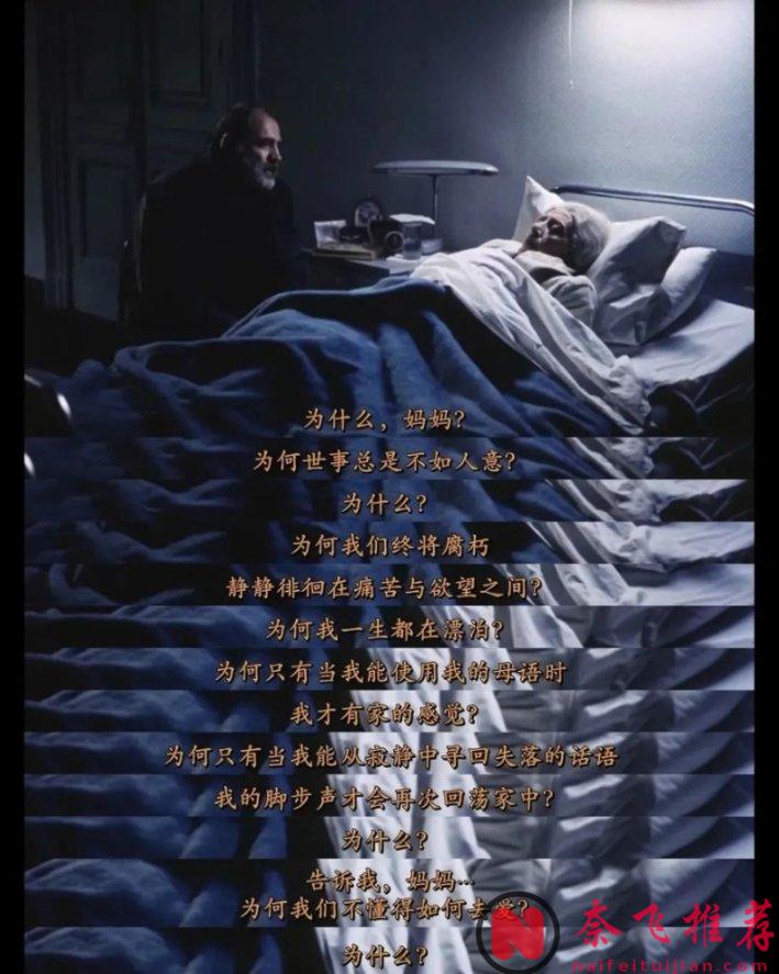 豆瓣4万人评9.1分，冷门佳作《永恒和一日/一生何求/永远的一天》，强烈推荐！