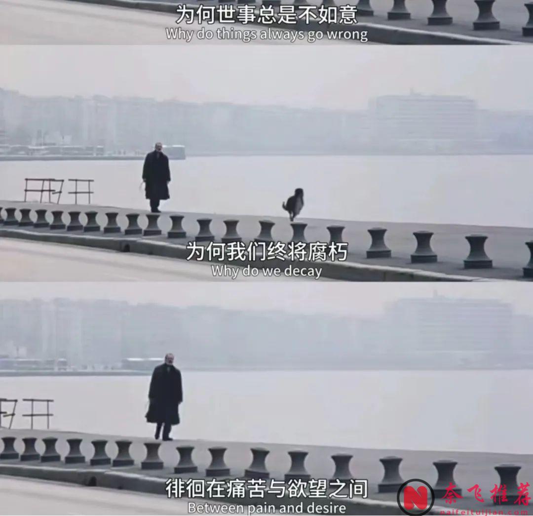 豆瓣4万人评9.1分，冷门佳作《永恒和一日/一生何求/永远的一天》，强烈推荐！