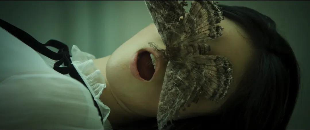 全程高能！由《破墓》團隊傾心打造的限制級驚悚新作《三天/心葬》！牧師大戰惡魔