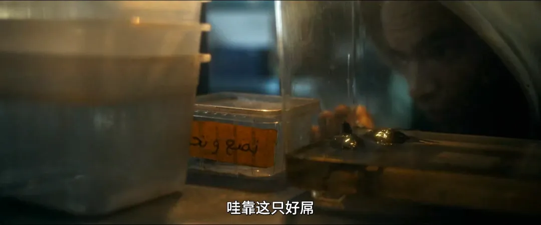 恶心程度100%！这部法国高能爽剧《害虫/魔蛛巢城(港) / 蛛杀》来了！