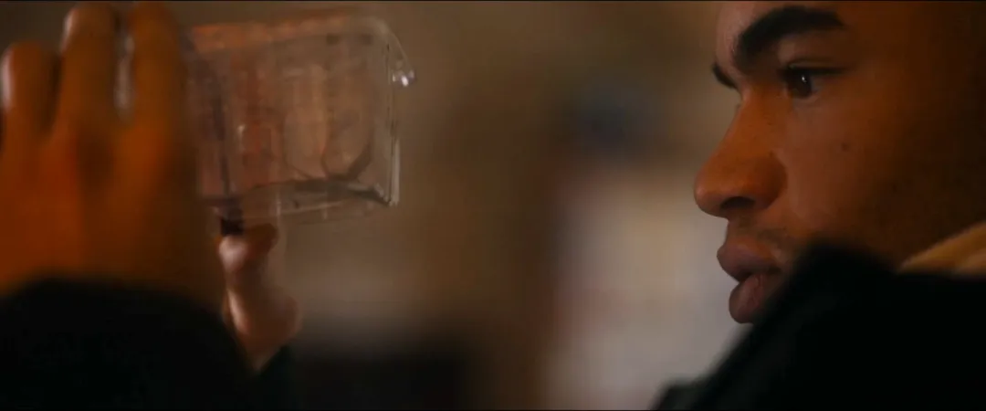 恶心程度100%！这部法国高能爽剧《害虫/魔蛛巢城(港) / 蛛杀》来了！